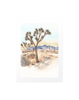 JOSHUA TREE